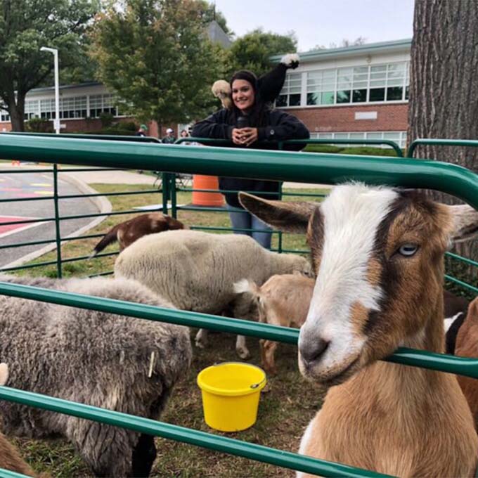 Image collage of petting zoo animals by Long Island Pony Parties & Petting Zoo